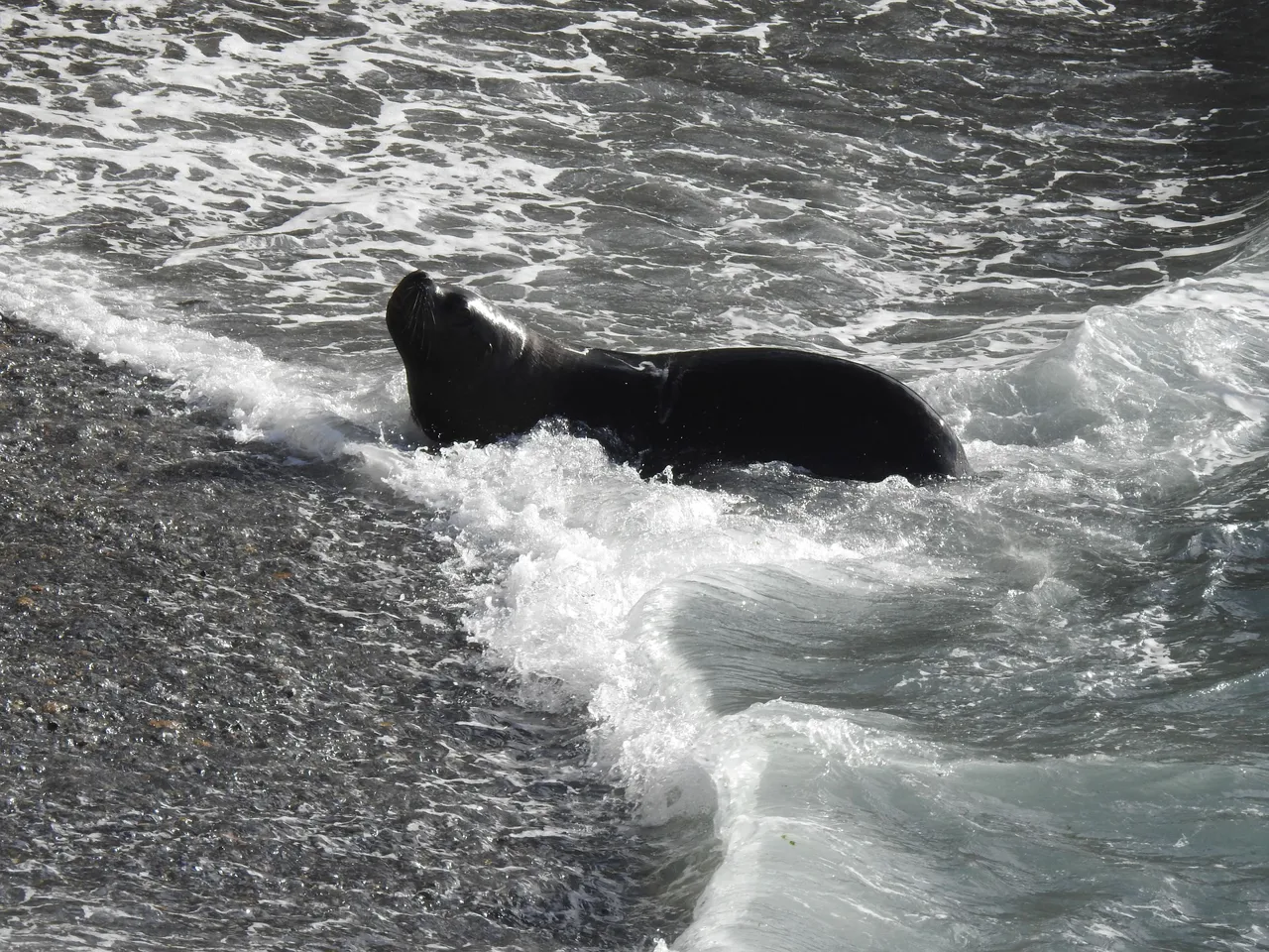 DSCN6778.jpg