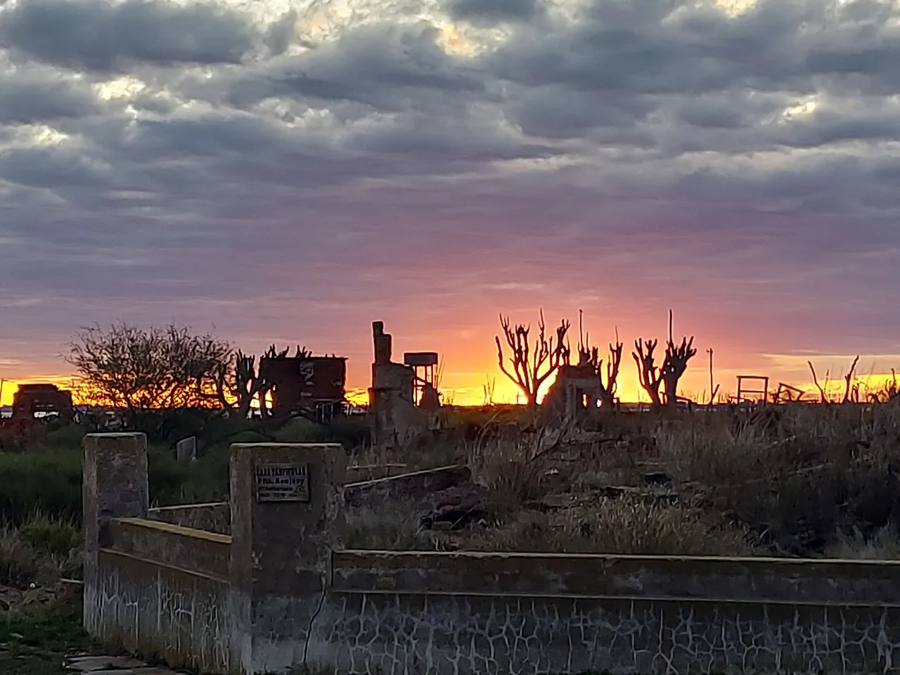 20230526_180546.jpg