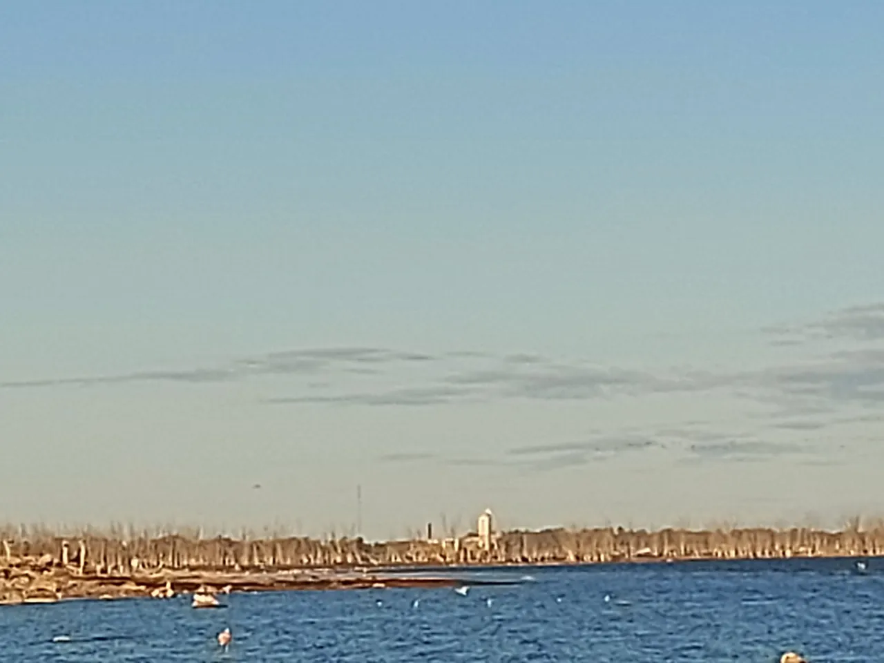 20230526_171347.jpg