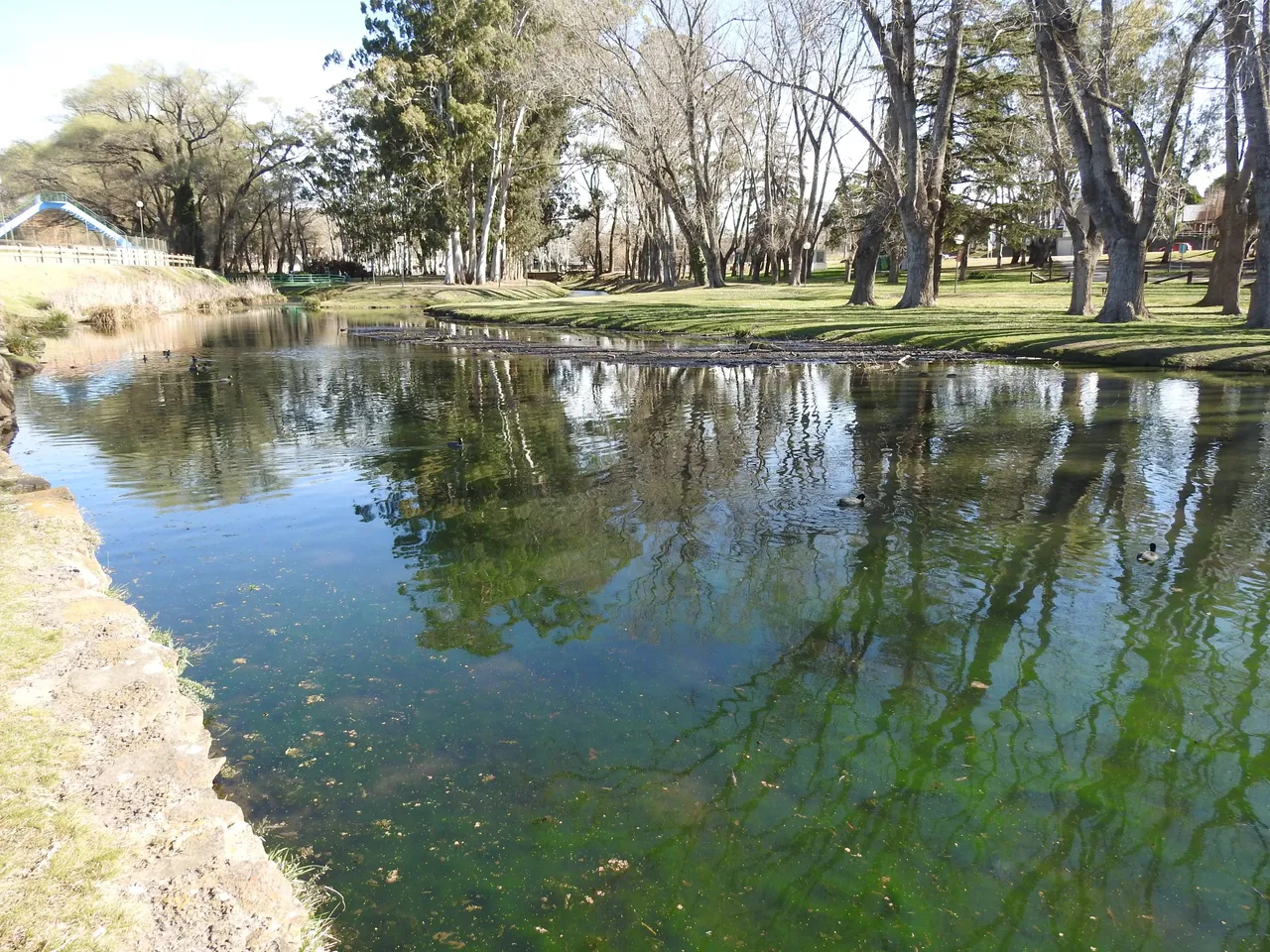 DSCN6854.JPG