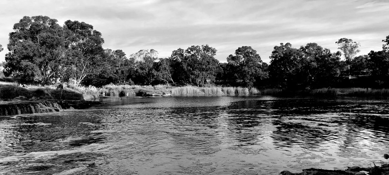20210704_155121.jpg