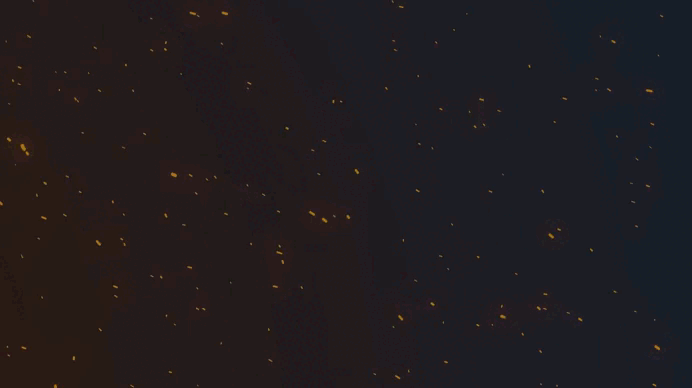@palabras.gif