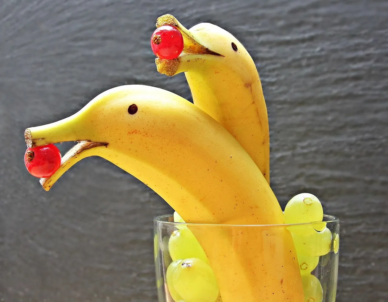 banana-dolphin-1737840_1280.jpg