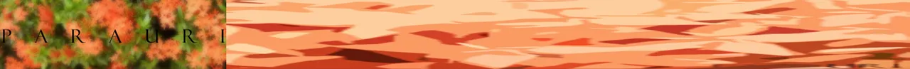 separador.png