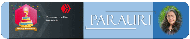 banner.parauri.gif