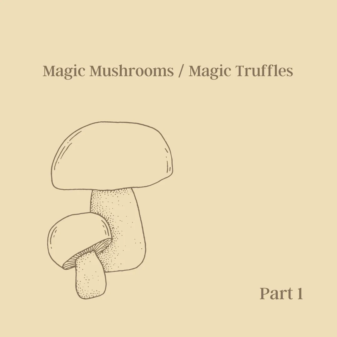 Magic Mushrooms  Magic Truffles.png