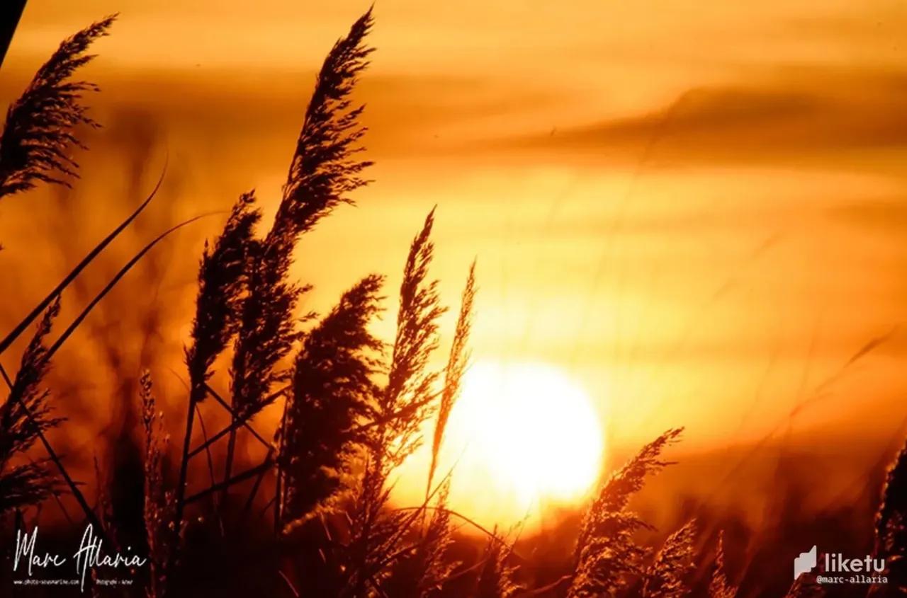 Screen Shot 2565-06-08 at 17.47.07.png