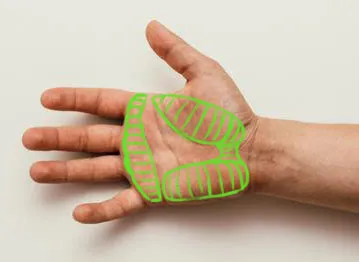 finger-hand-skin-arm-gesture-wrist-1559165-pxhere.com.jpg