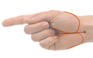 hand-4269717_640.jpg