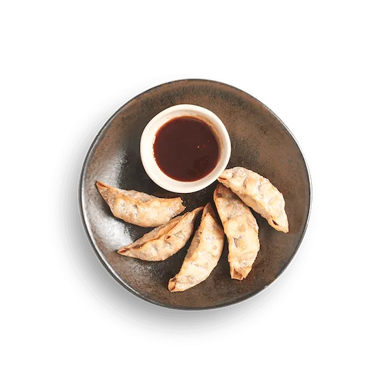 duck_gyoza.png