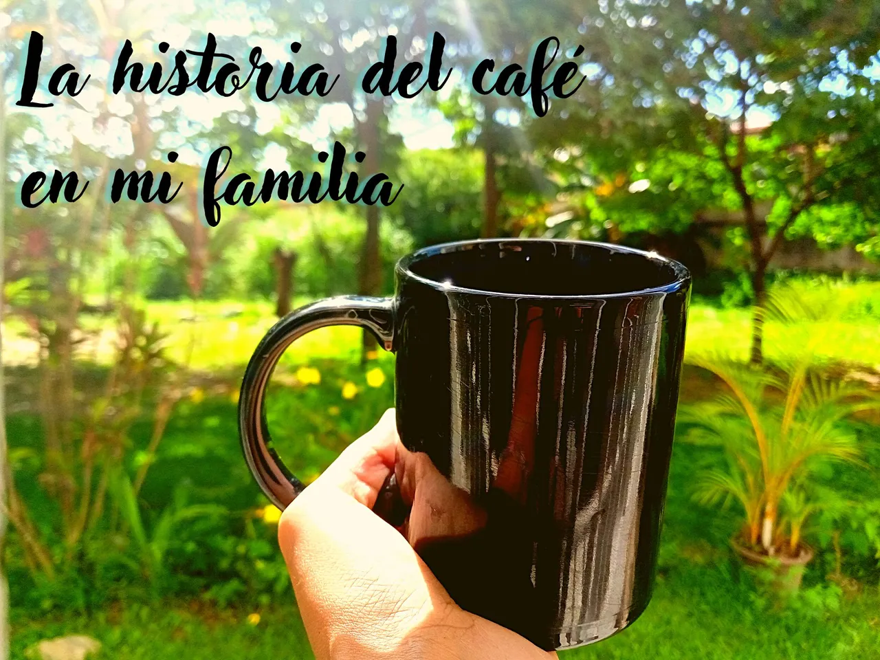 La Historia del cafe en mi familia.png