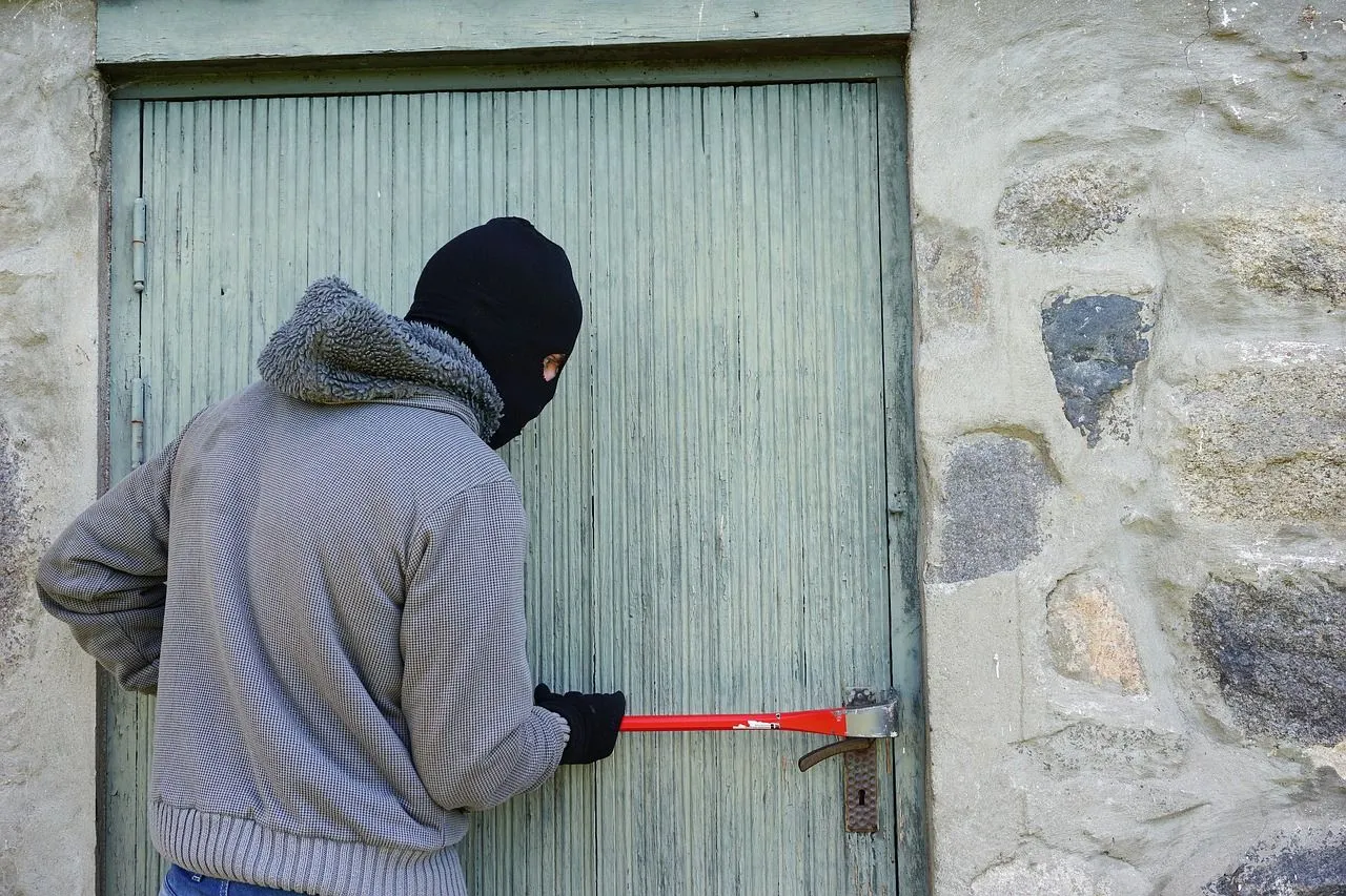thief-g7a9f00a95_1280.jpg