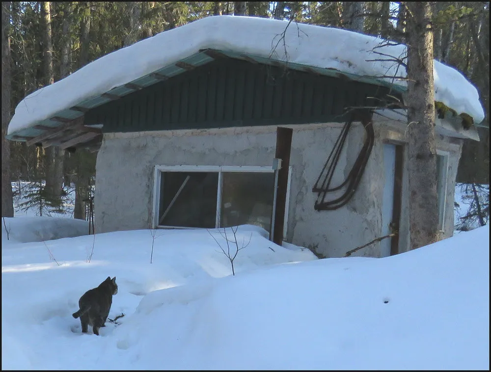 JJ walking thru snow to well house.JPG