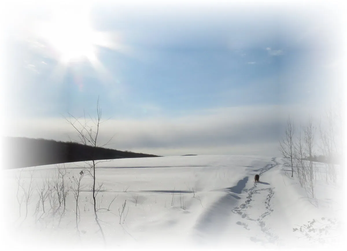 frosty scene pristine snow on hill Bruno coming down.JPG