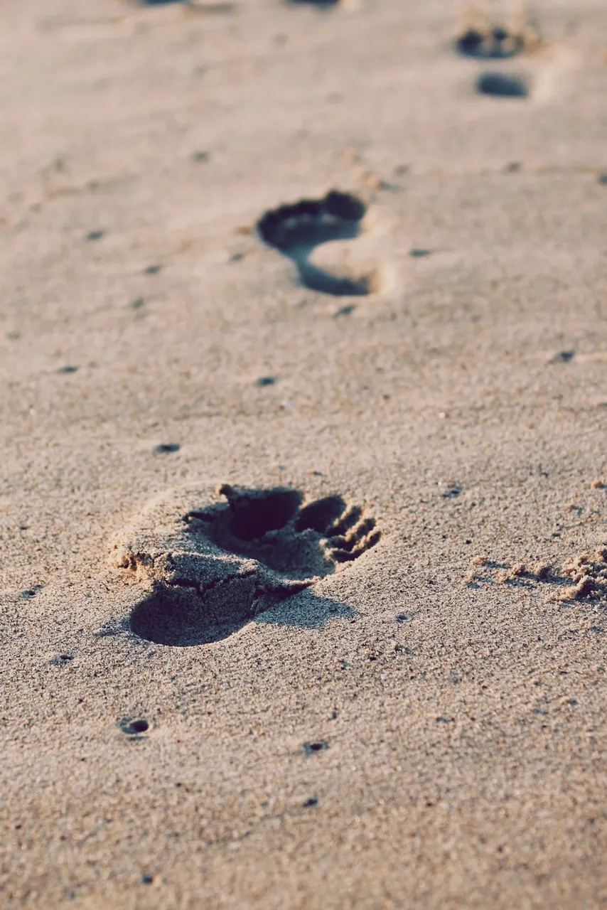 unsplash_526360a842e20_1.jpeg