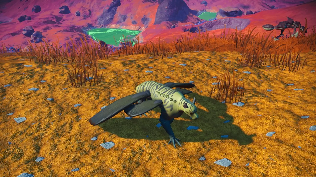No Man's Sky_20210515161620.jpg
