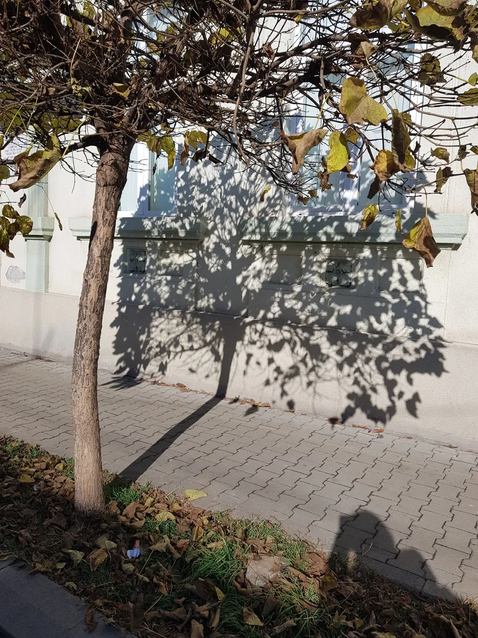 20221109_114448.jpg
