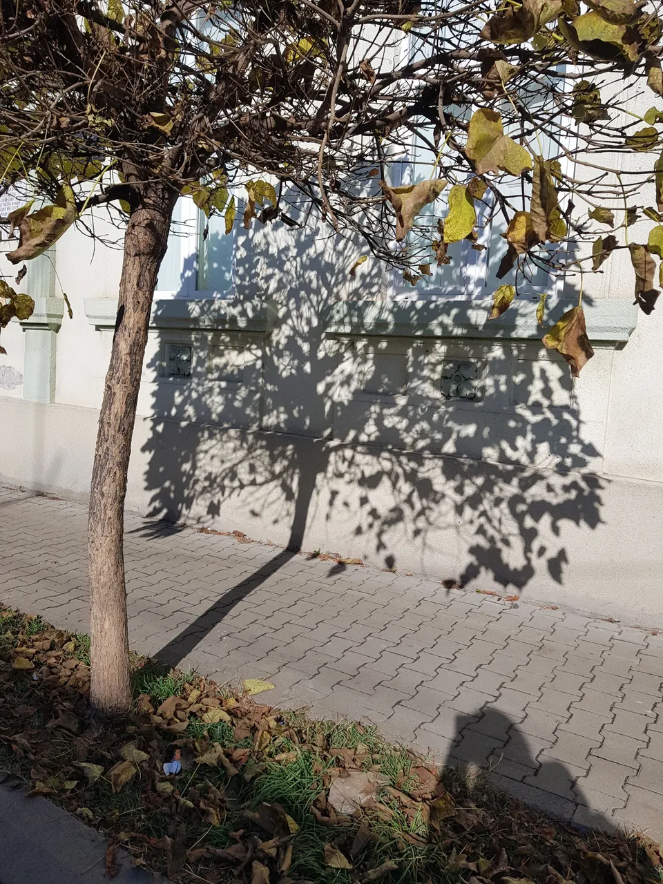 20221109_114449.jpg