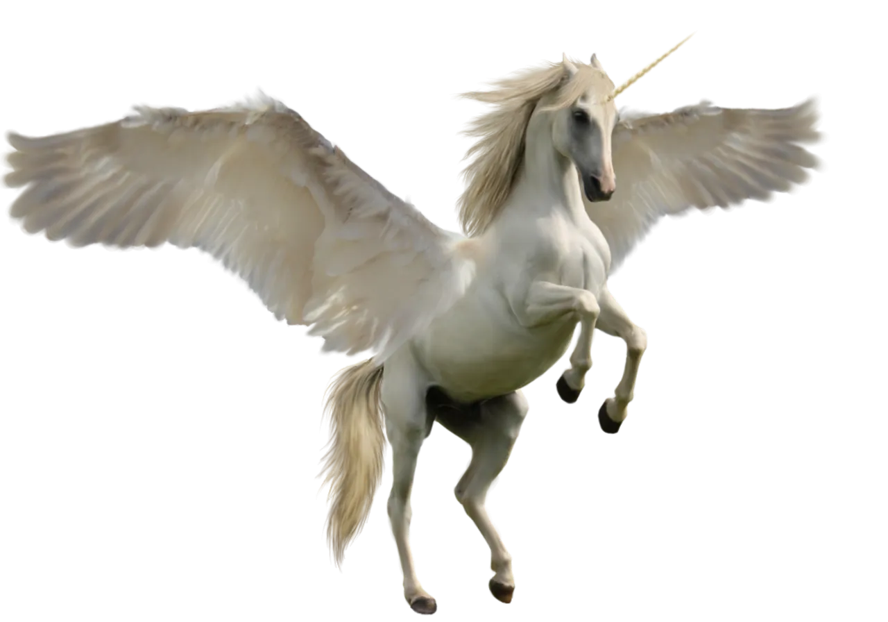 unicorn-2854337.png