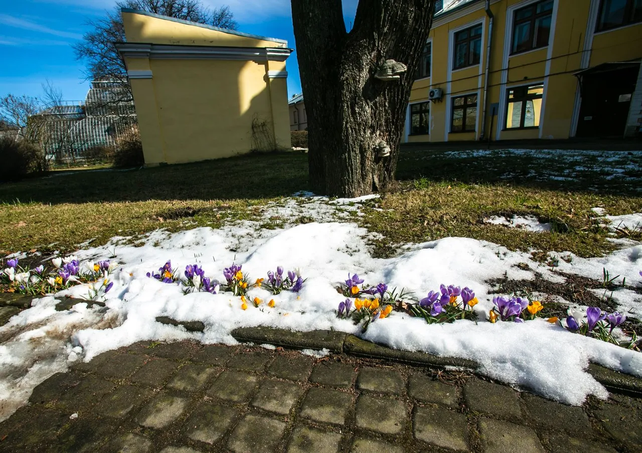 2025-apr-2955w-h.jpg