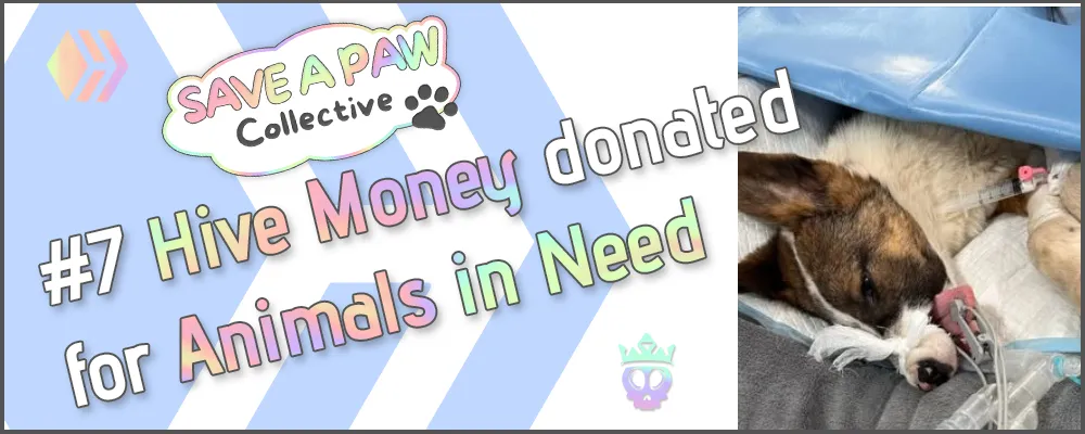 Non animated Header Donations 7.png