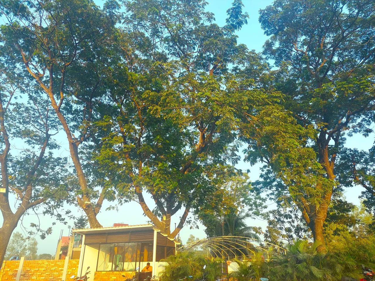 20231021_164235.jpg