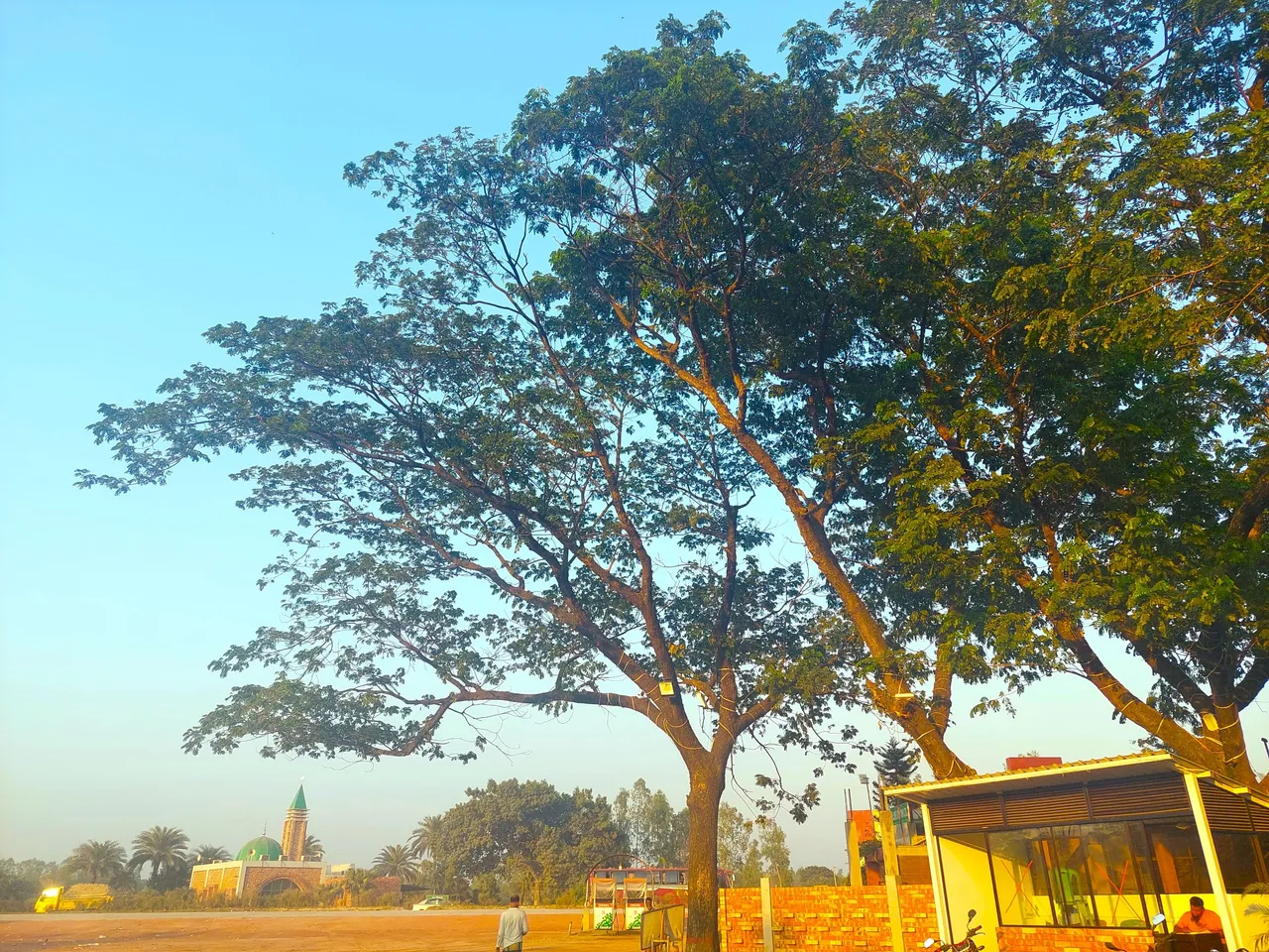 20231021_164231.jpg