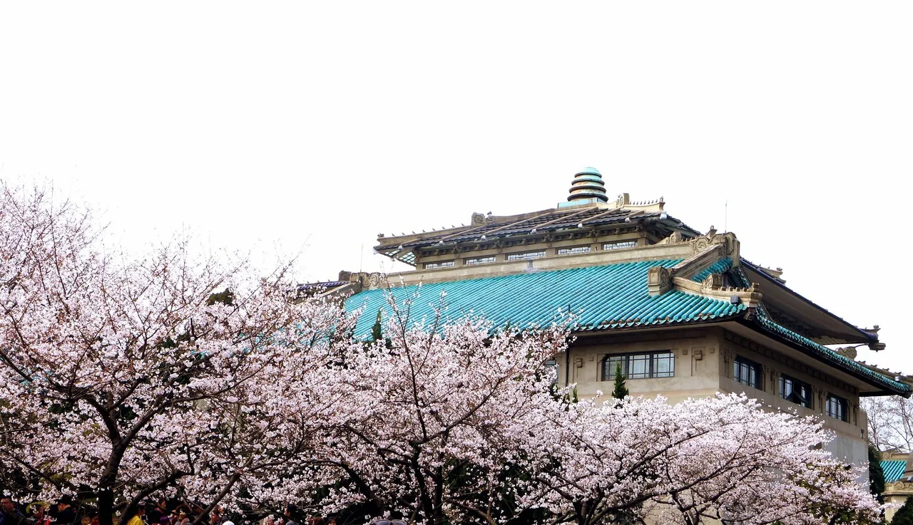 wuhan-5497470_1920.jpg