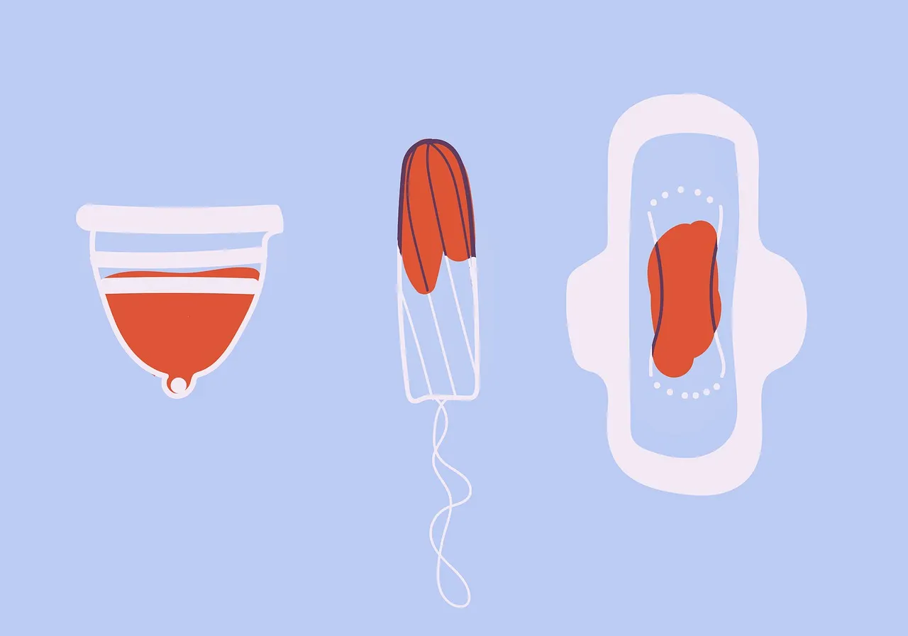 menstruation-7574216_1280.jpg