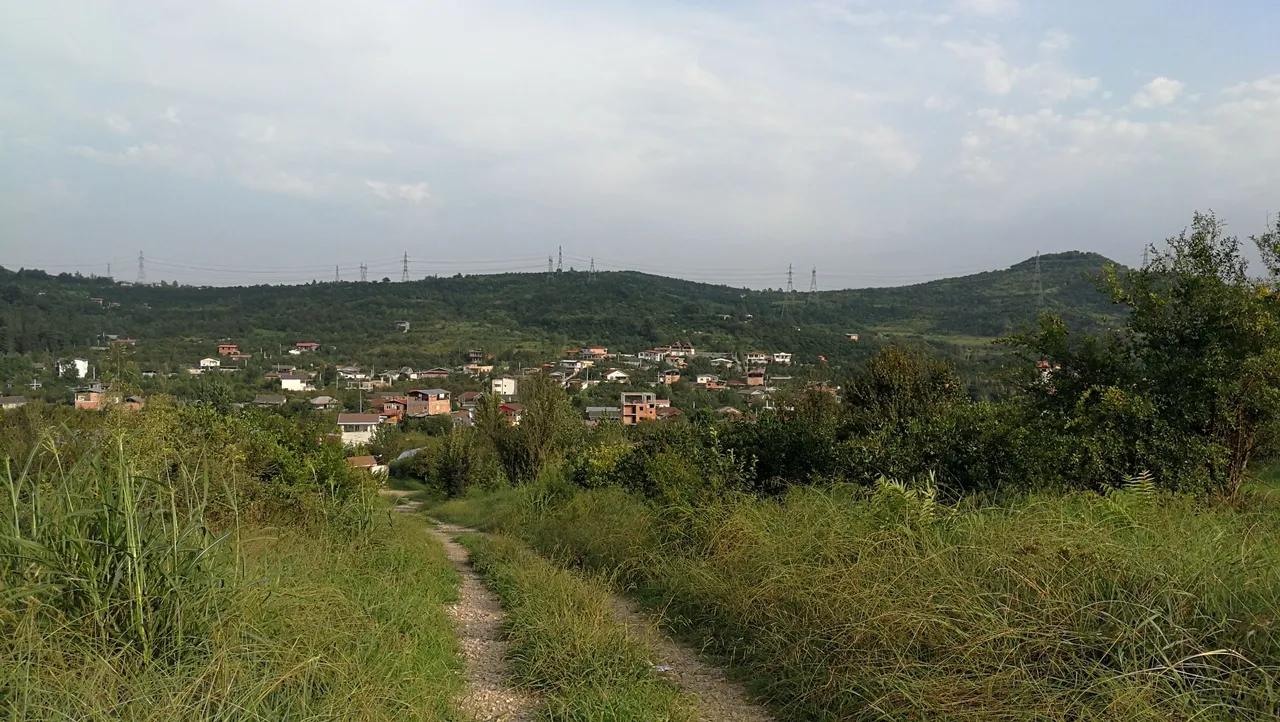 IMG_20230807_071651.jpg