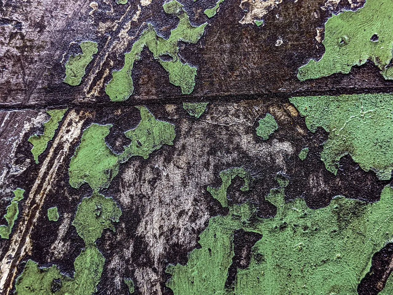 PXL_20221116_224347474.jpg