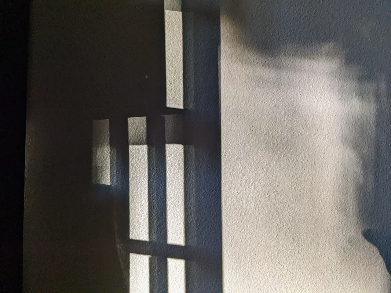 PXL_20221121_134545042.jpg