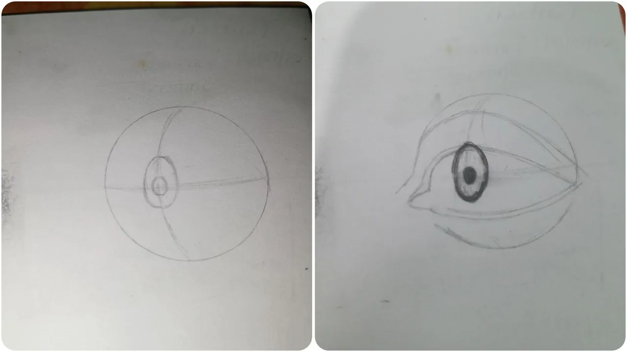 1000165789.jpg