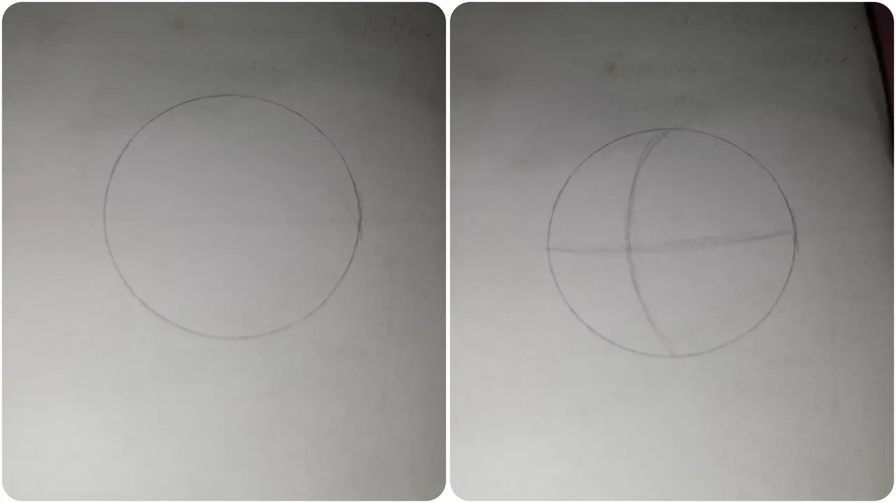 1000165788.jpg