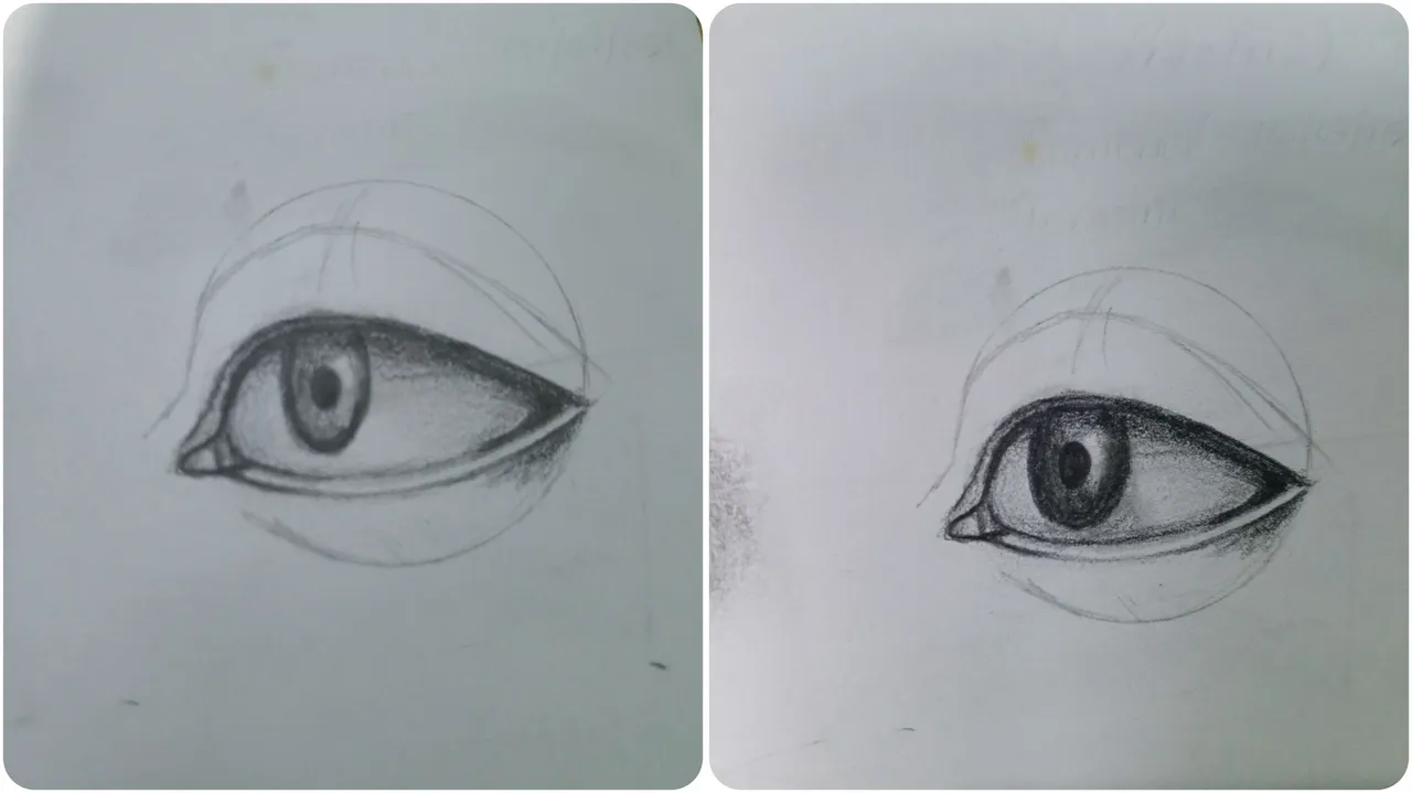 1000165790.jpg