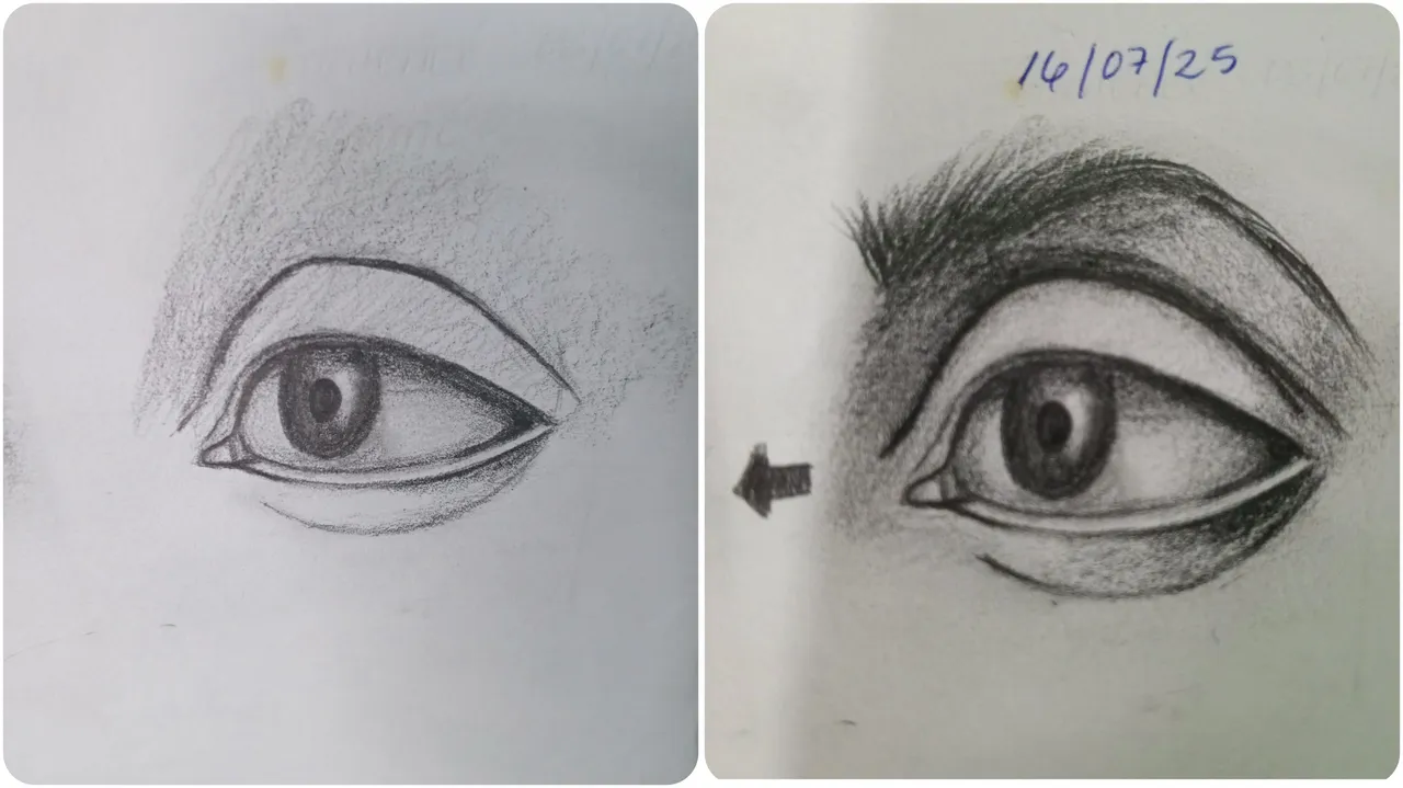 1000165791.jpg
