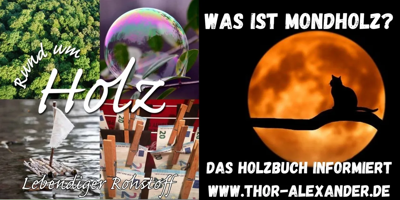 HZ Mondholz.jpg