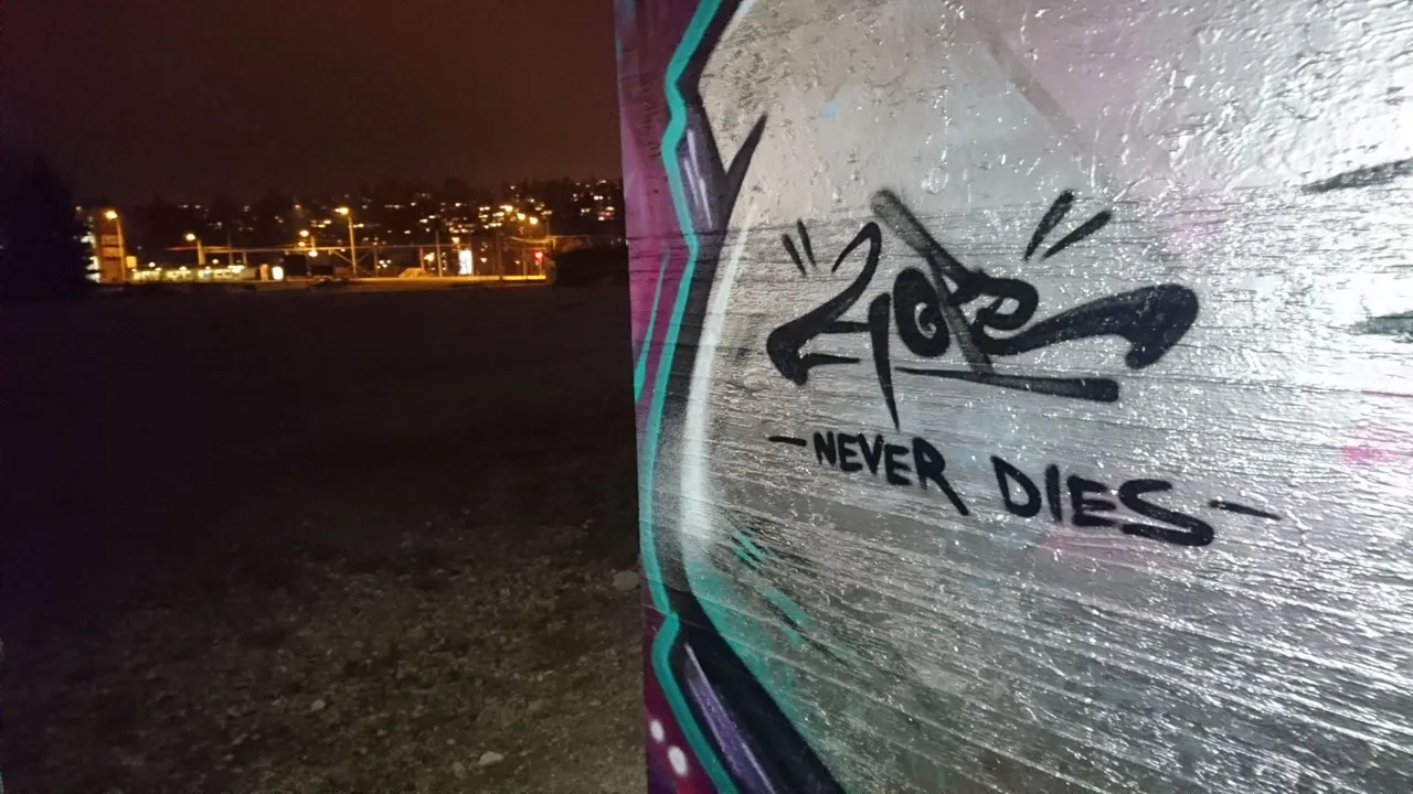 DSC_0063.JPG