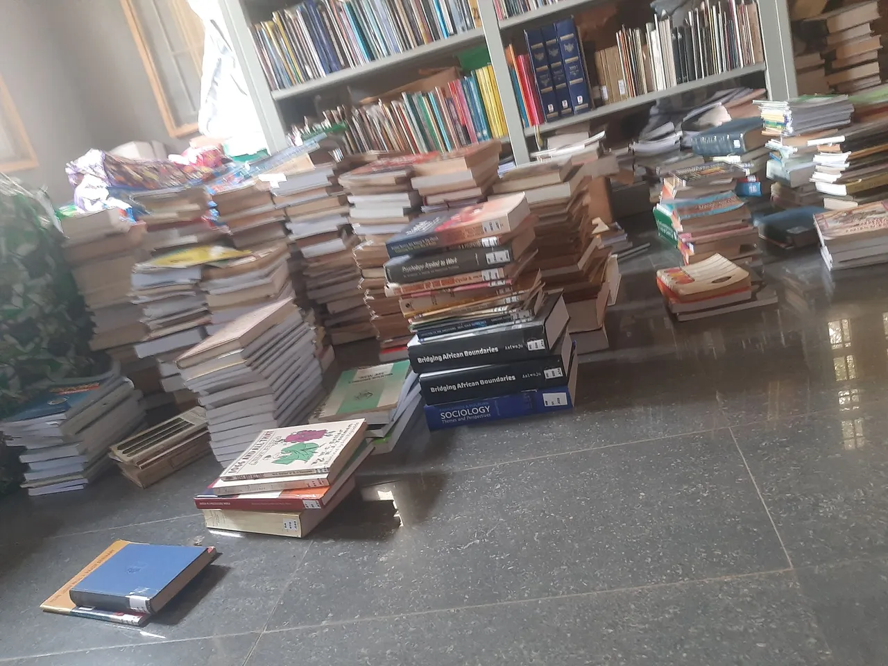 20221024_121442.jpg