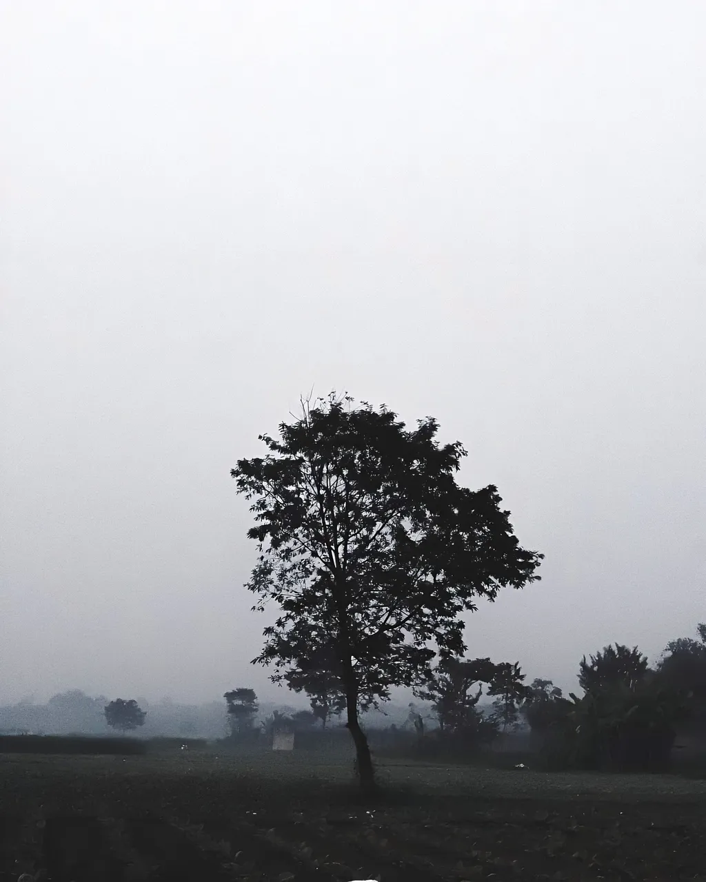 1703360348808.jpg
