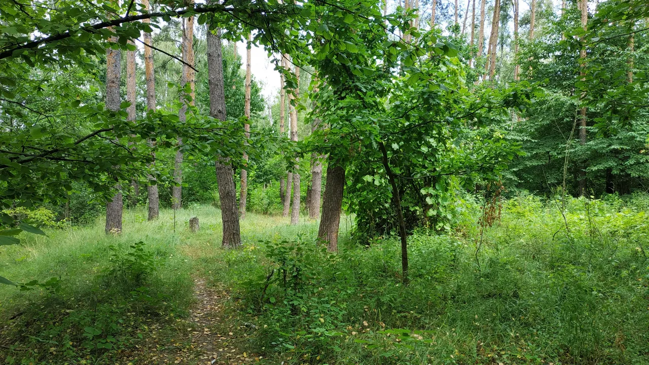 IMG_20250720_125551.jpg