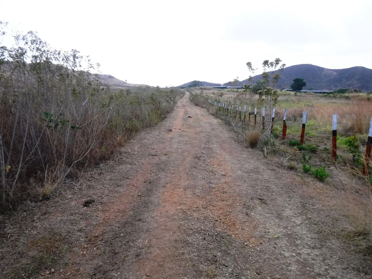 DSCF7795.JPG