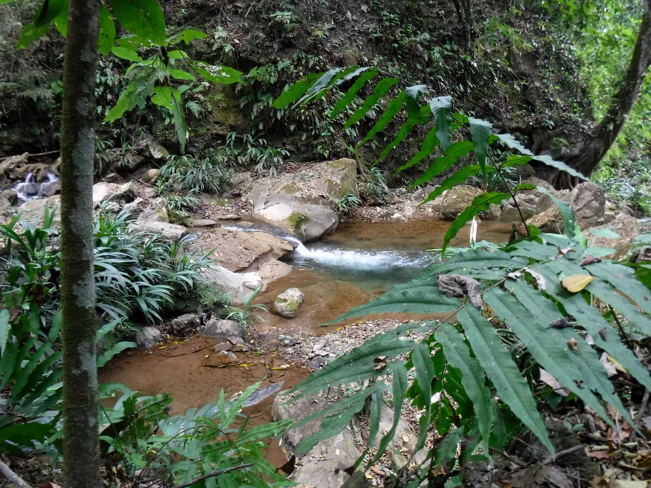 DSCF7894.JPG