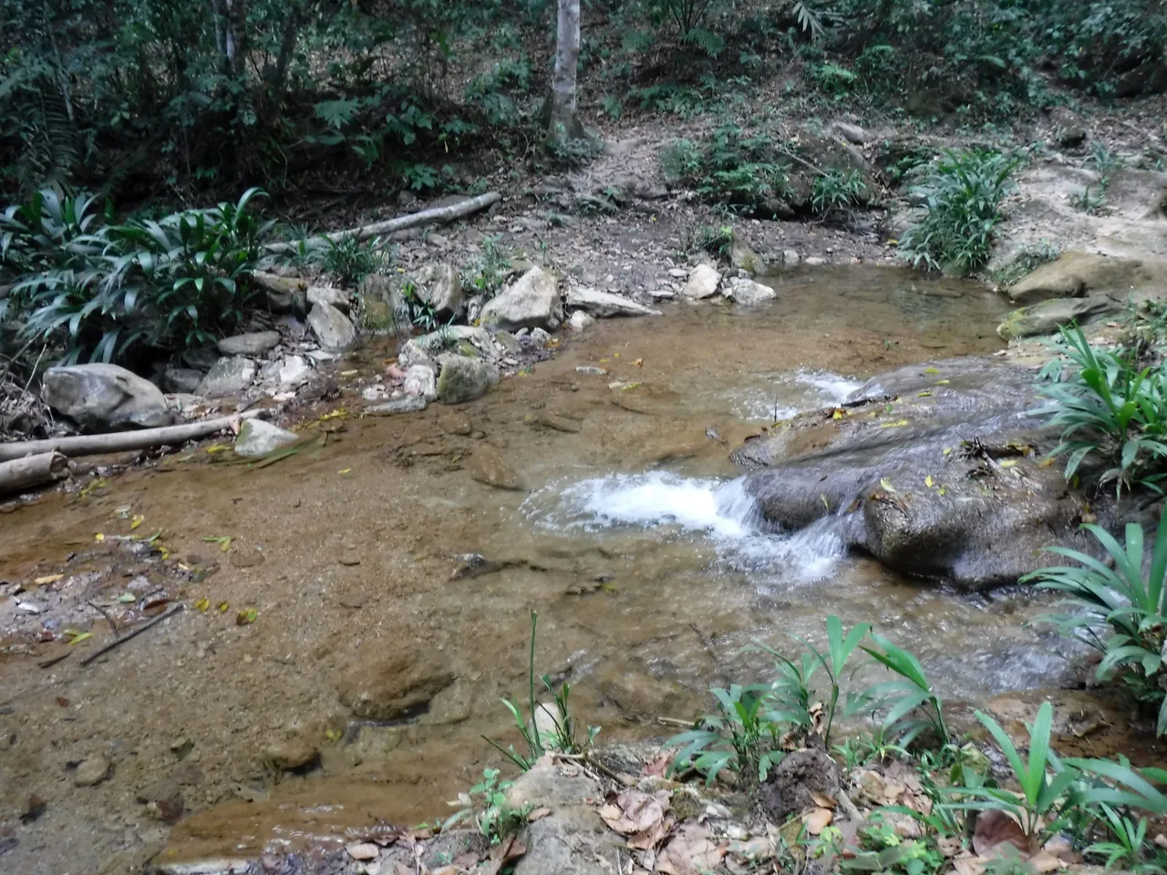 DSCF7885.JPG