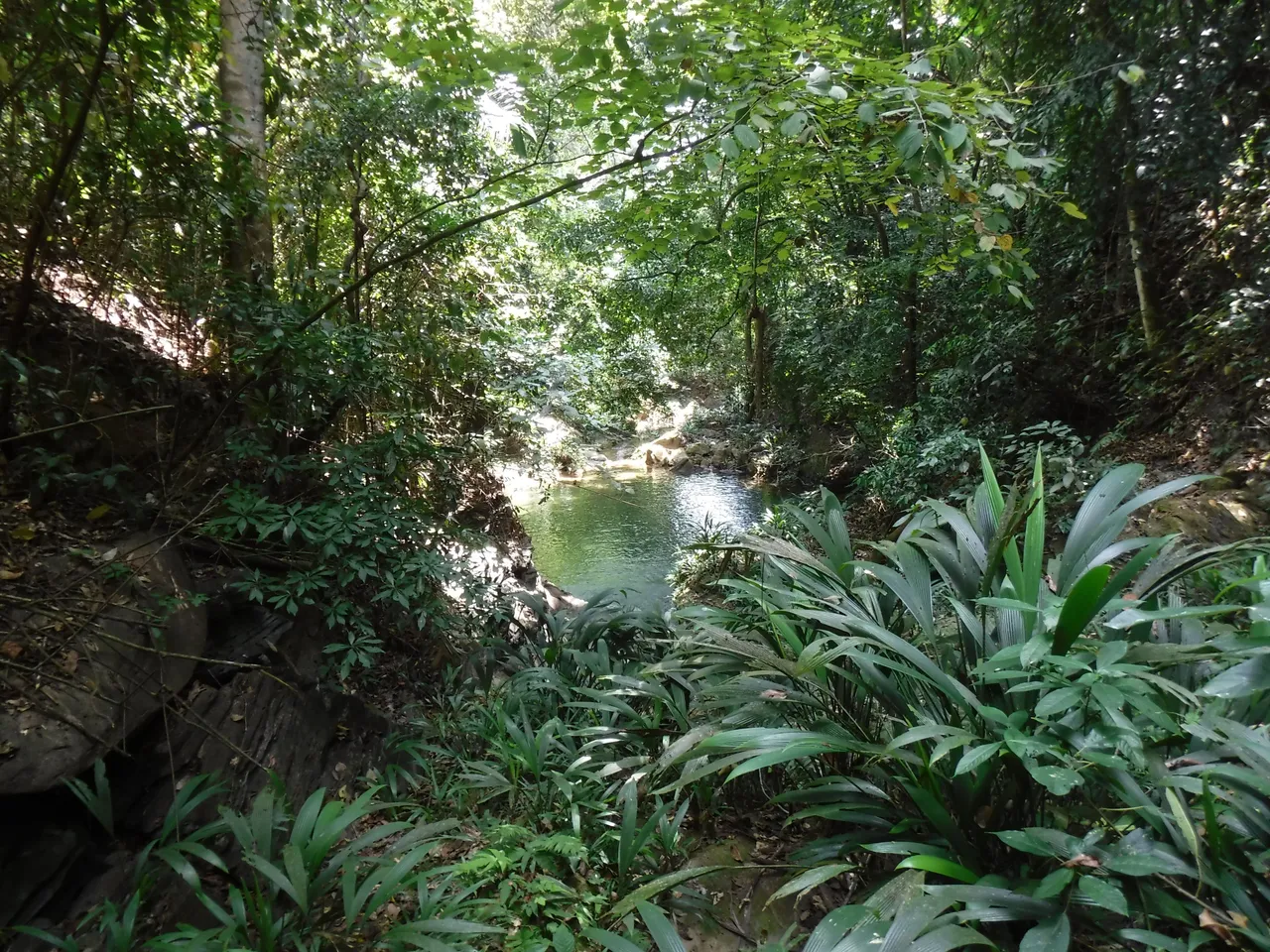 DSCF7914.JPG