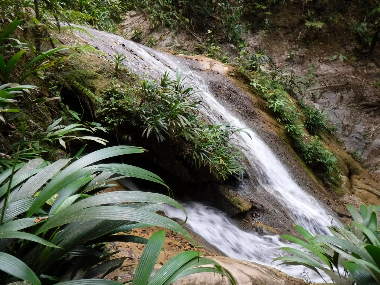 DSCF7901.JPG
