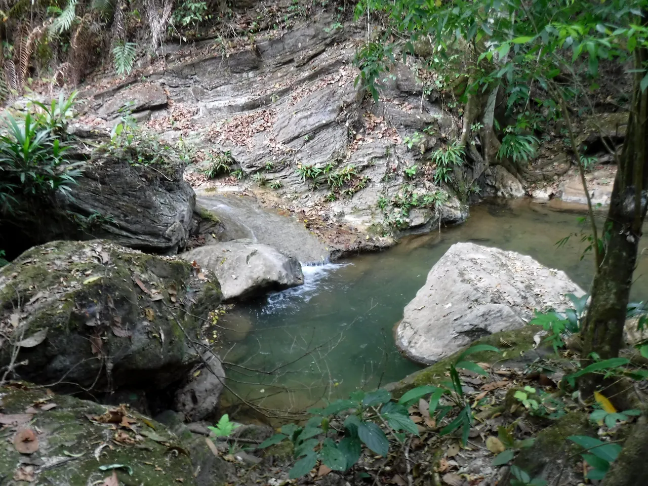 DSCF7893.JPG