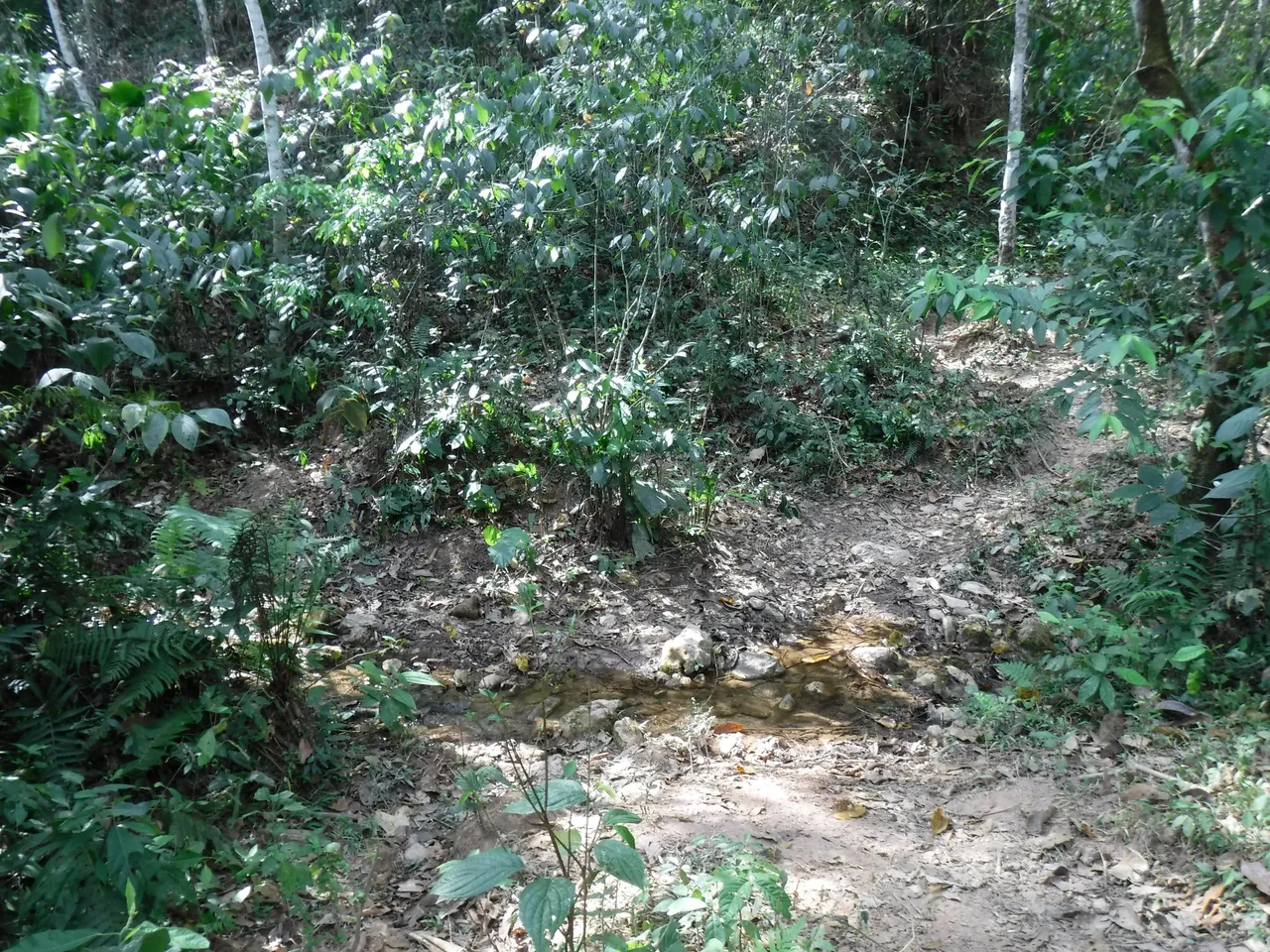 DSCF7873.JPG