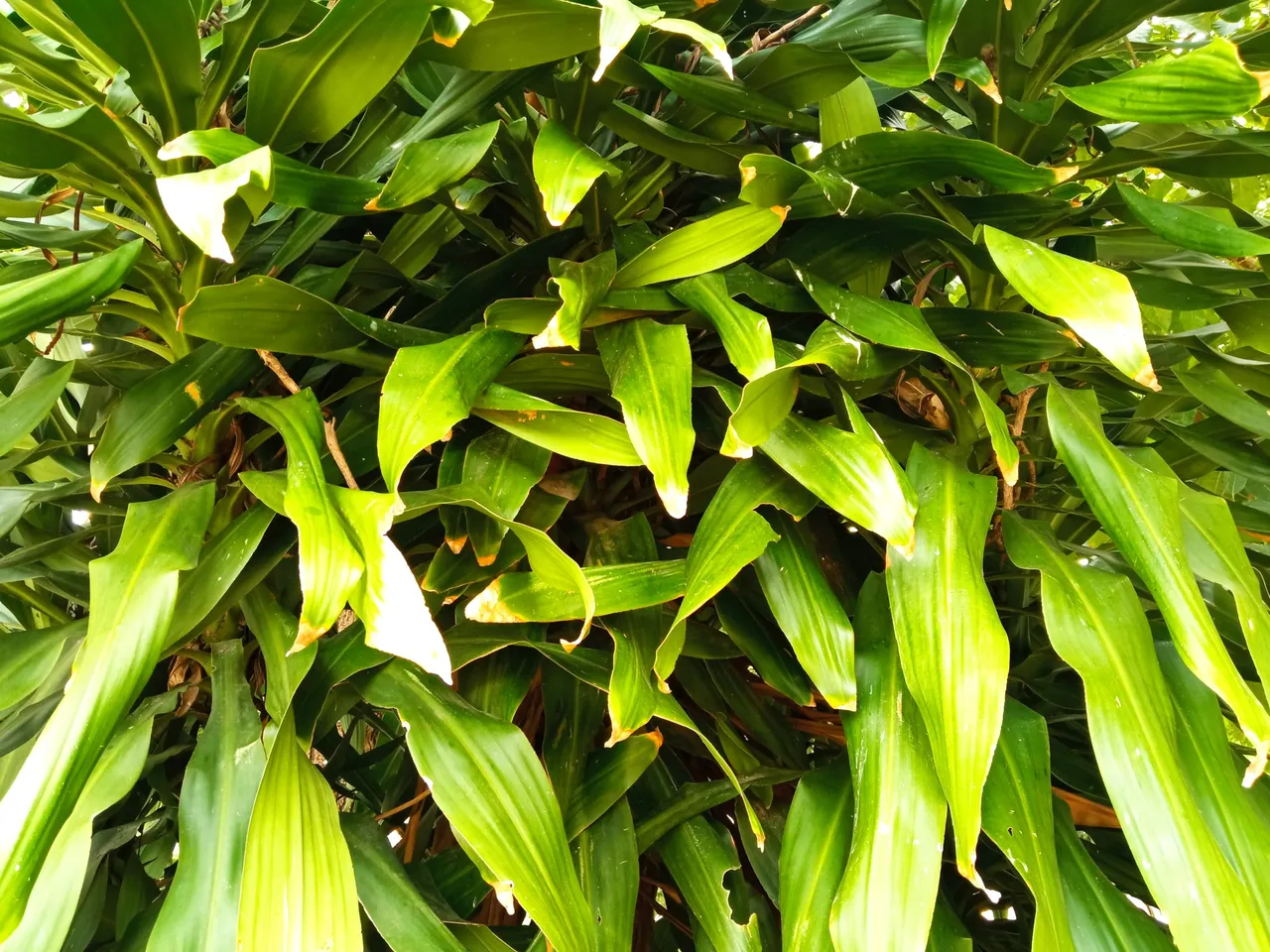 IMG_20250519_103540.jpg