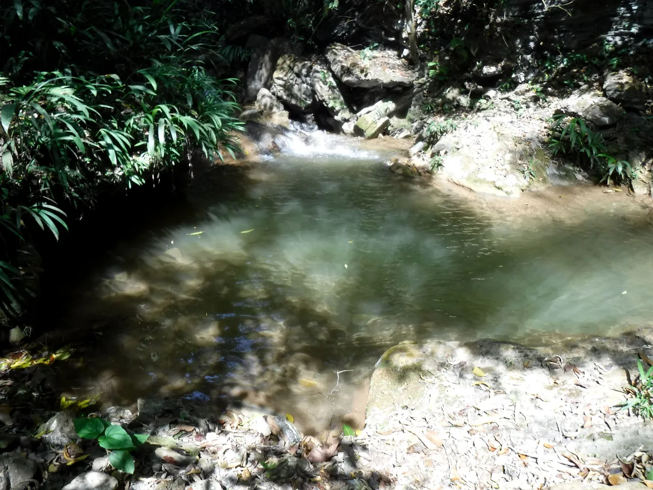 DSCF7889.JPG